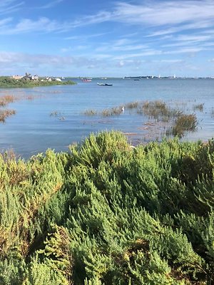 COMING SOON! EXCLUSIVE: THERAPEUTIC RETREAT IN NORTH NORFOLK. Burnham Overy Staithe